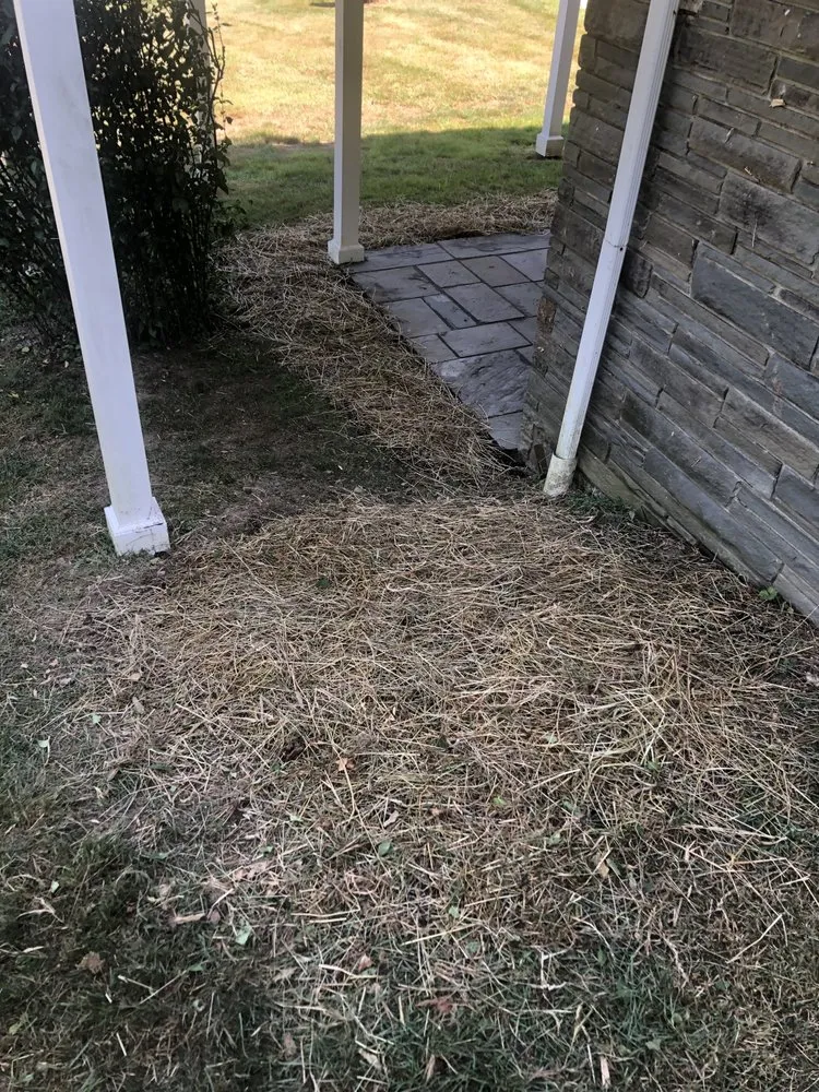 Professional yard maintenance in Cooperstown, NY - Element Landscaping