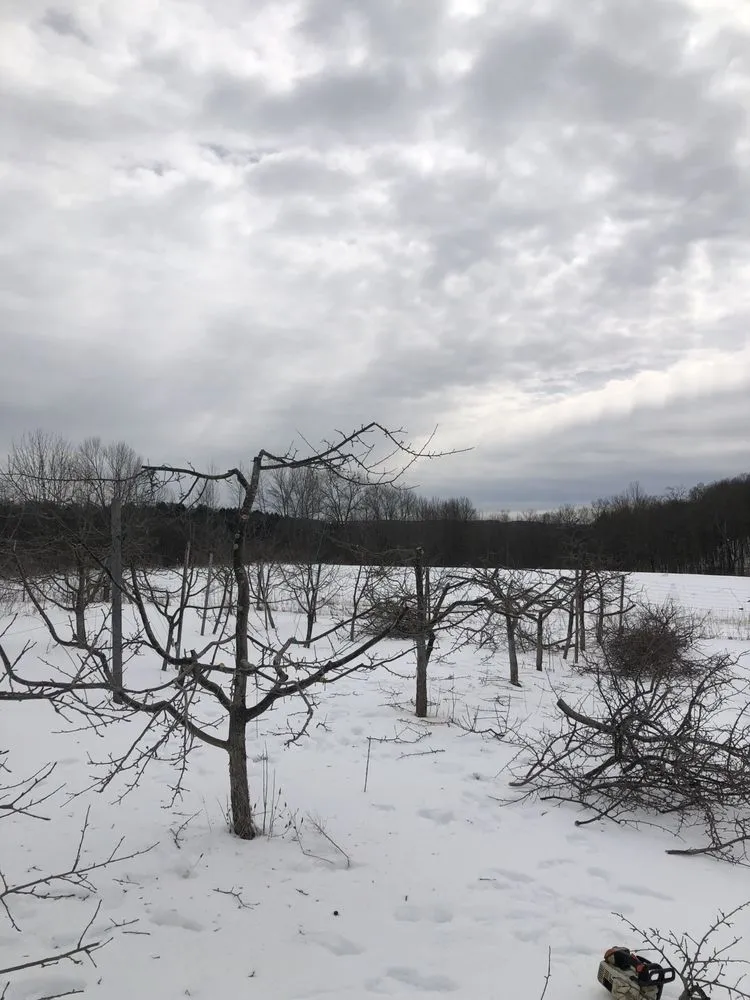 Reliable landscaping services experts serving Cooperstown, NY - Element Landscaping