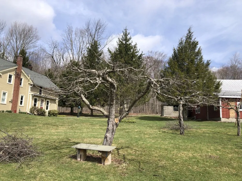 Top-rated lawn care service for homes in Cooperstown, NY by Element Landscaping