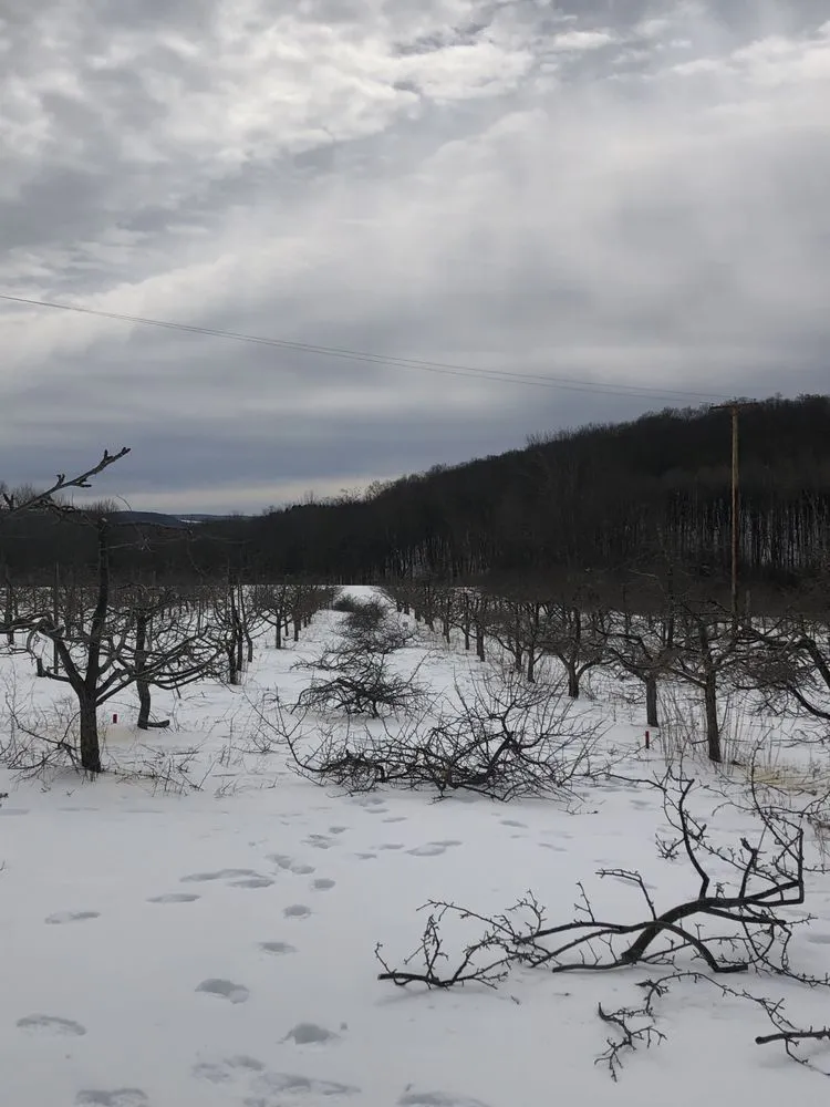 Top-rated lawn mowing service for homes across Cooperstown, NY - Element Landscaping