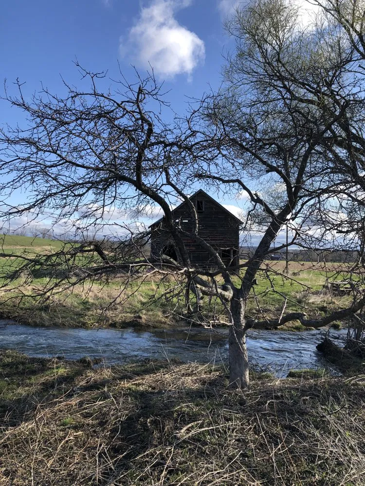 Local landscape design in Cooperstown, NY by Element Landscaping