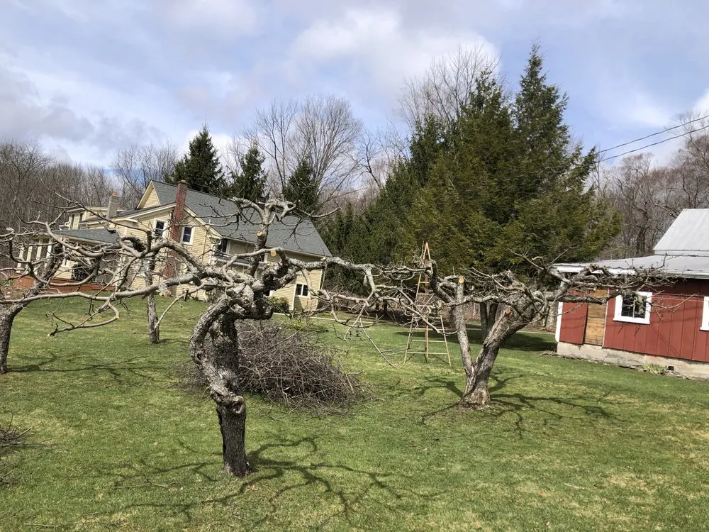 Expert outdoor landscaping for outdoor upgrades in Cooperstown, NY by Element Landscaping