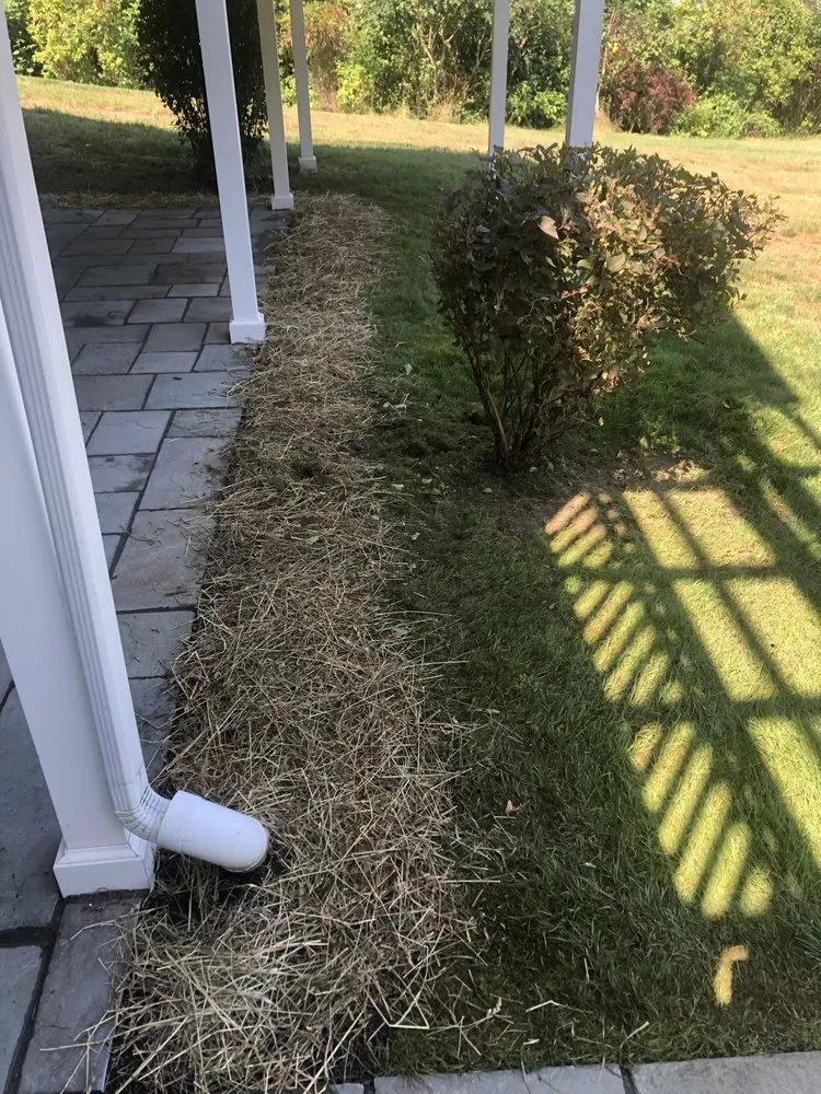 Expert yard maintenance for outdoor upgrades across Cooperstown, NY - Element Landscaping