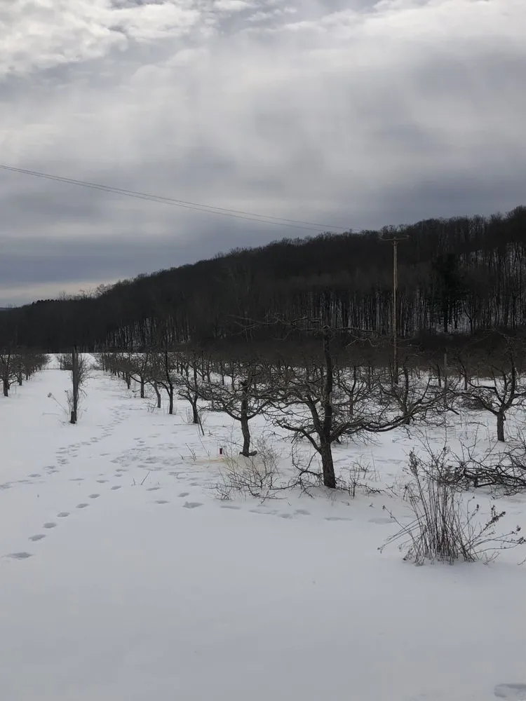 Affordable lawn mowing service in Cooperstown, NY by Element Landscaping