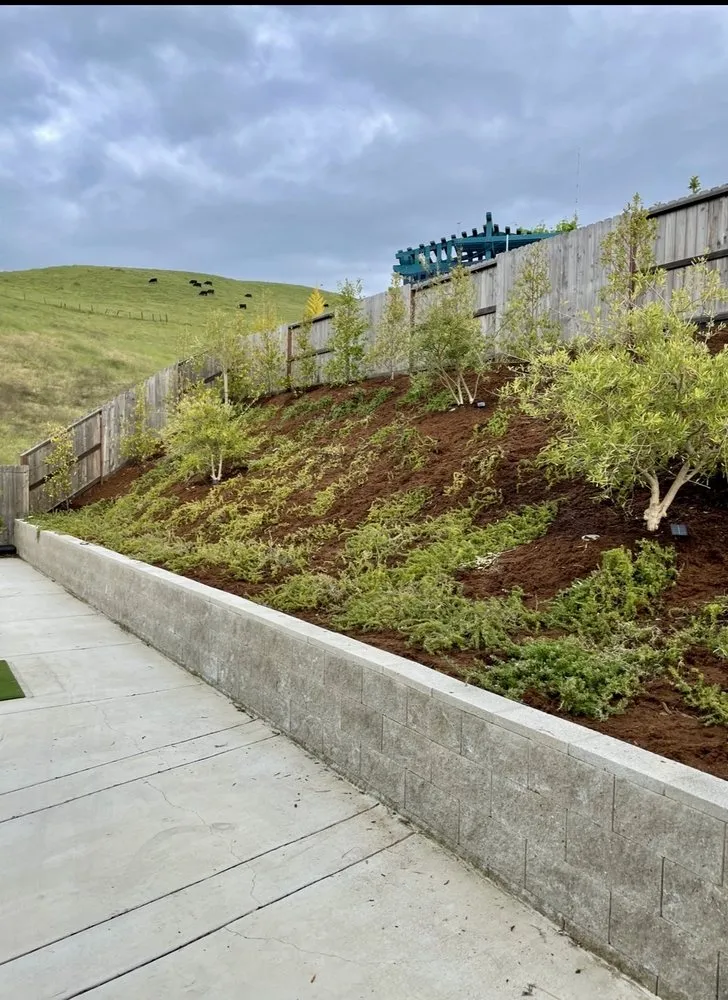 Reliable landscape design in Watsonville, CA - Element Landscaping