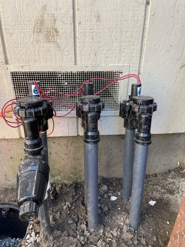 Affordable landscape design in Watsonville, CA by Element Landscaping