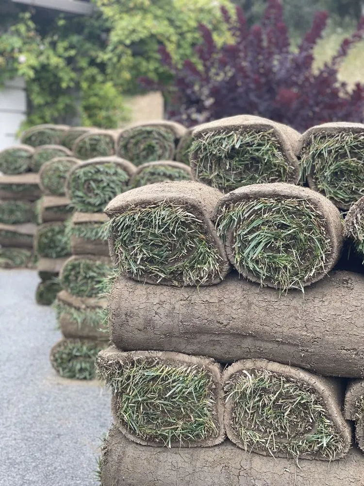 Trusted residential landscaping in Watsonville, CA - Element Landscaping