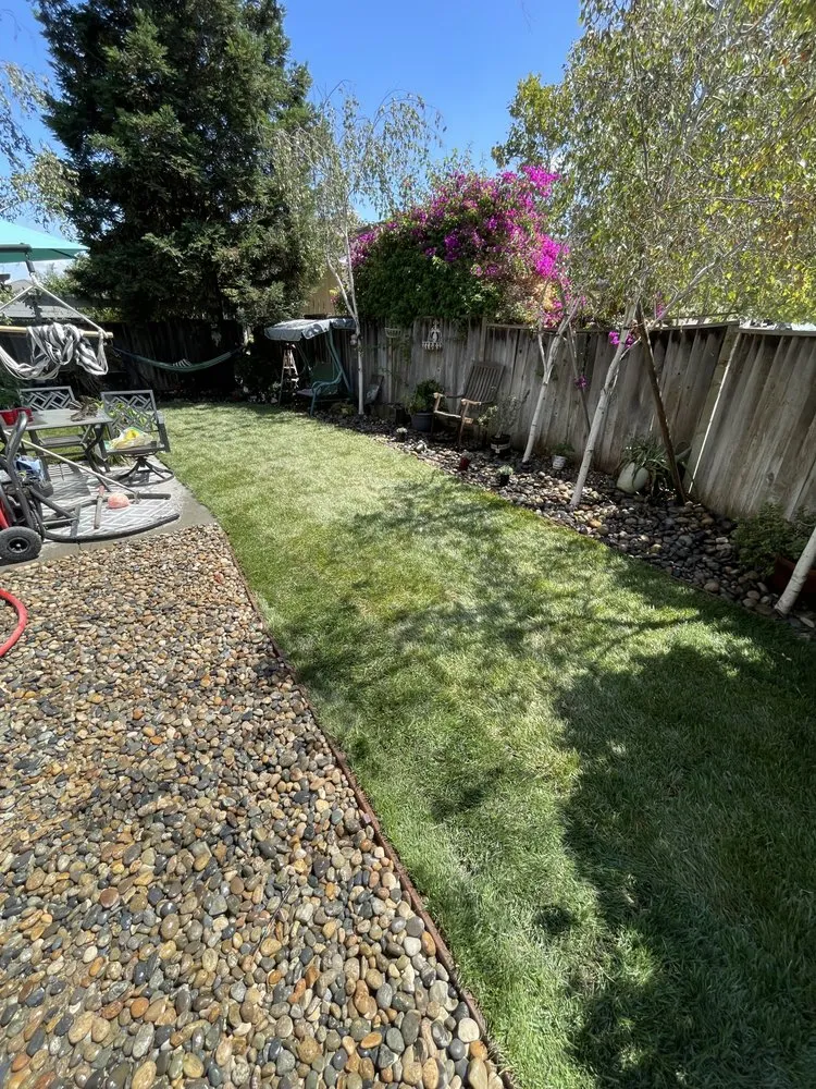 Expert outdoor landscaping in Watsonville, CA - Element Landscaping
