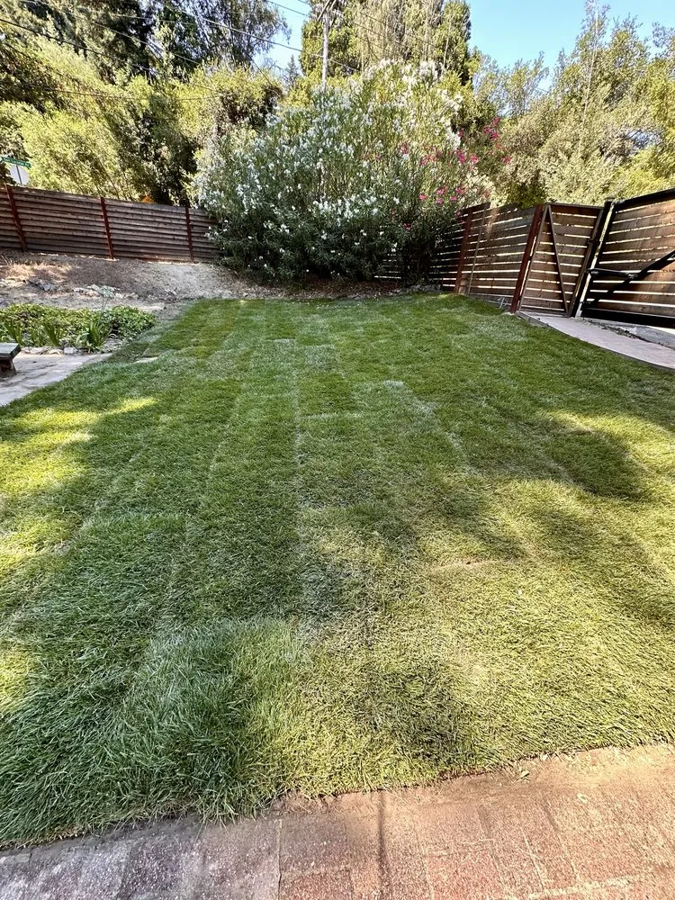 Custom lawn care service for residential properties in Watsonville, CA by Element Landscaping