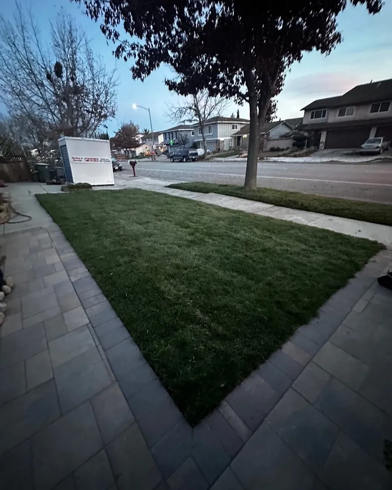 Trusted yard cleanup service with custom design across Watsonville, CA - Element Landscaping