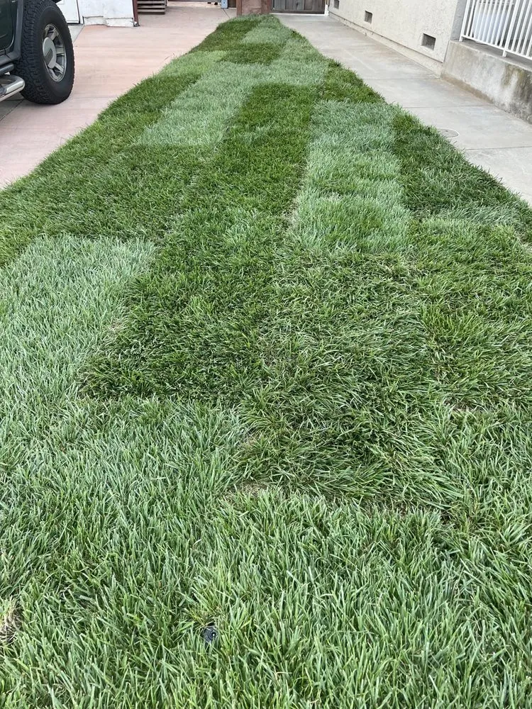 Expert landscaping services in Watsonville, CA by Element Landscaping