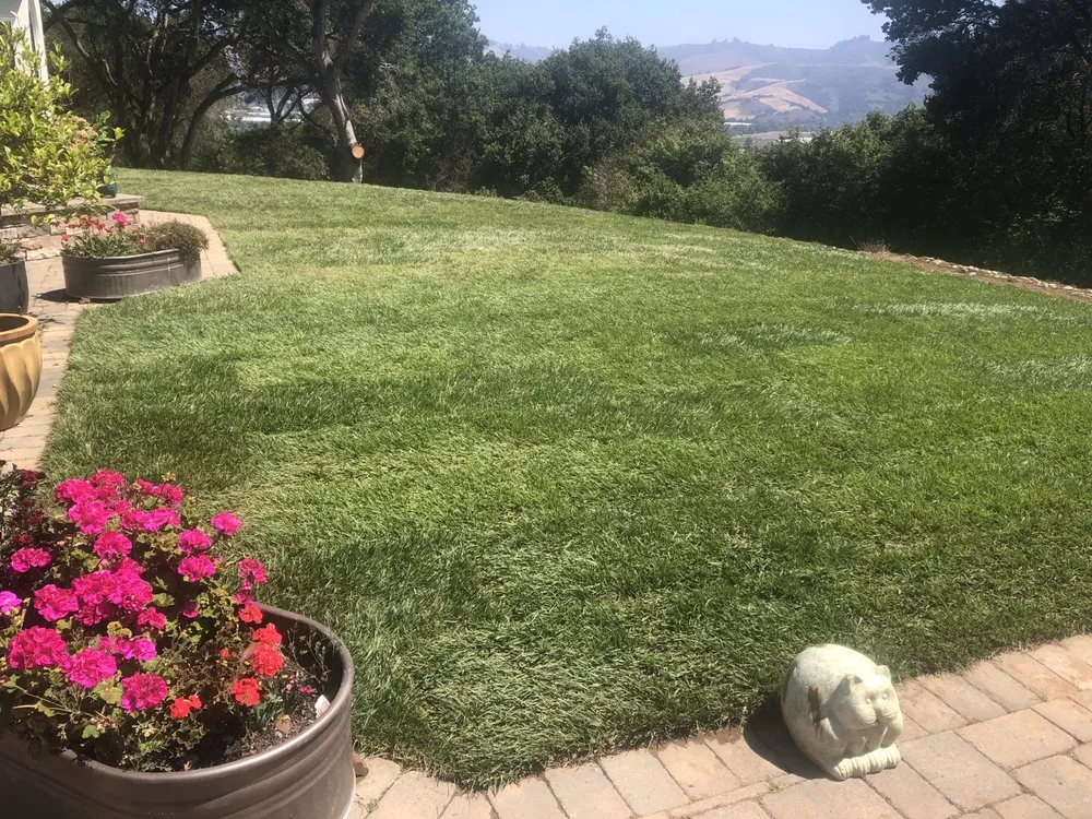 Custom landscaping services for residential properties across Watsonville, CA - Element Landscaping