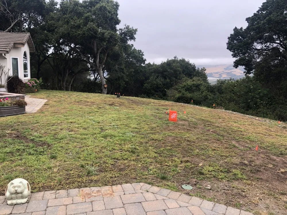 Custom landscape installation for homes across Watsonville, CA - Element Landscaping