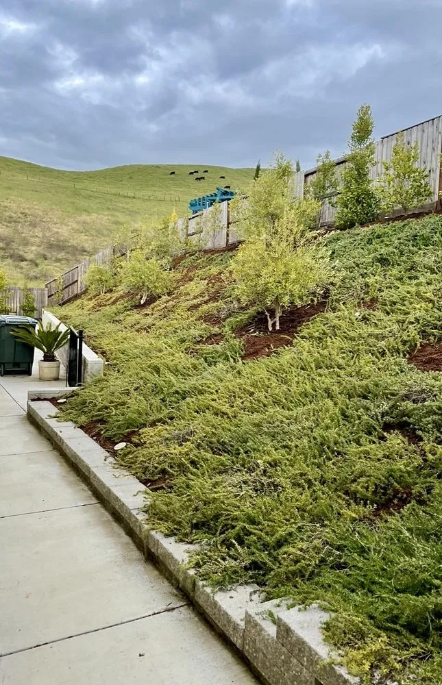 Professional lawn care service for homes in Watsonville, CA by Element Landscaping
