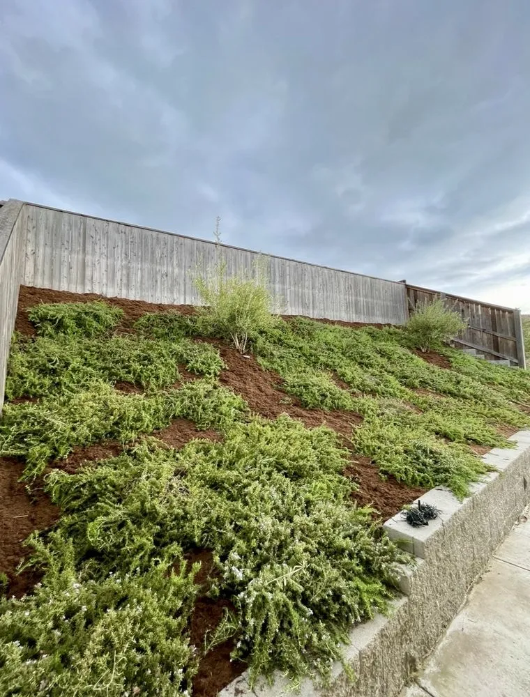 Local landscaping services with custom design in Watsonville, CA by Element Landscaping