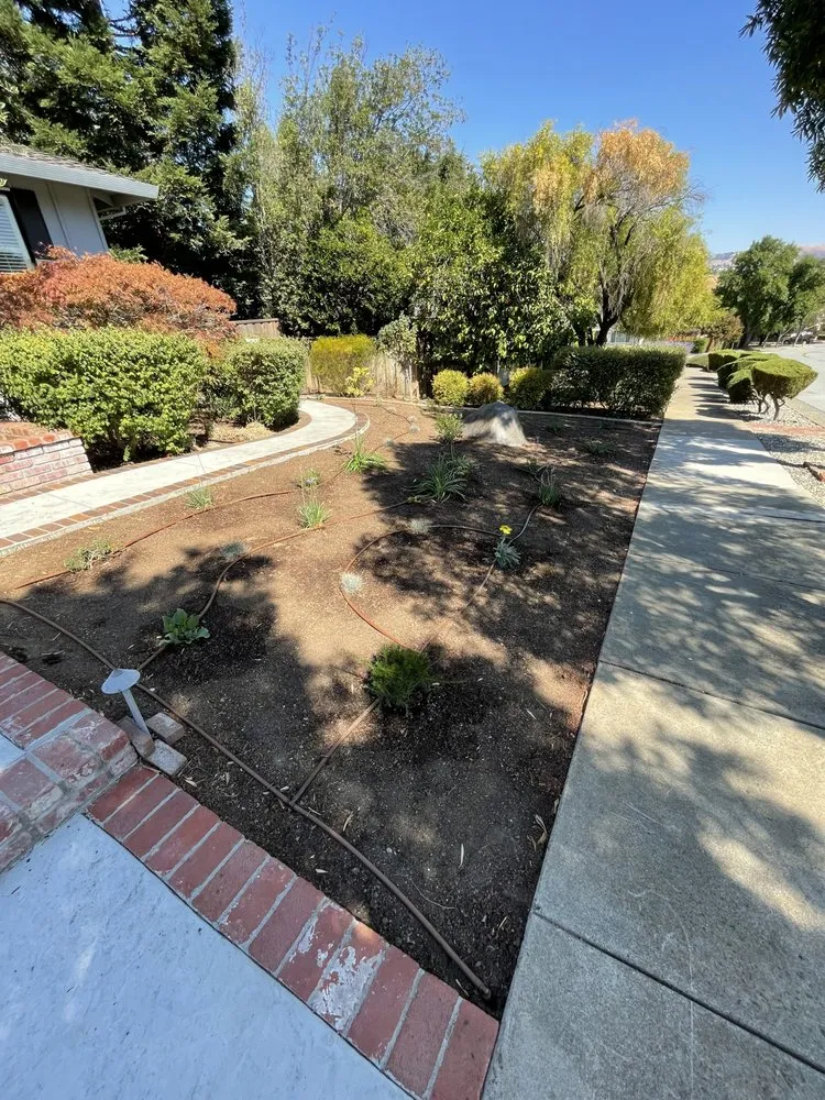 Reliable lawn mowing service in Watsonville, CA by Element Landscaping