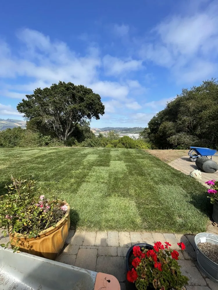 Local landscape design with custom design across Watsonville, CA - Element Landscaping