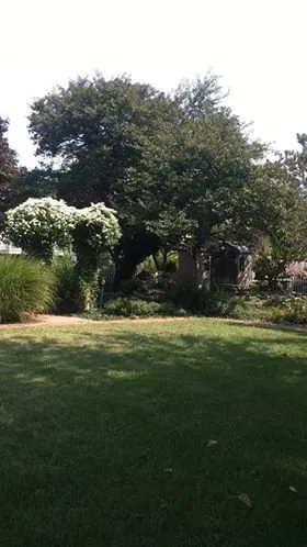 Professional outdoor landscaping with custom design across Topeka, KS - Element Lawn Solutions