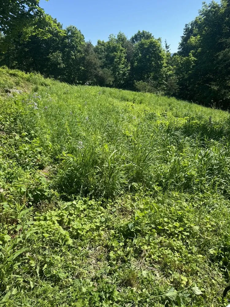 Custom landscape design in Hudson, NY - Element Outdoor Services