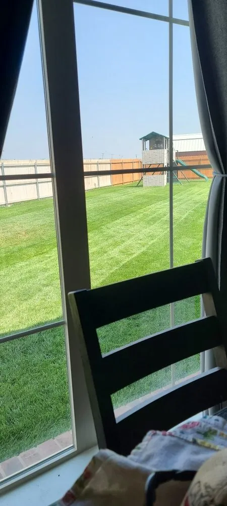 Reliable outdoor landscaping for homes in Amarillo, TX by Element Property Services