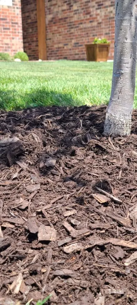 Local outdoor landscaping in Amarillo, TX by Element Property Services