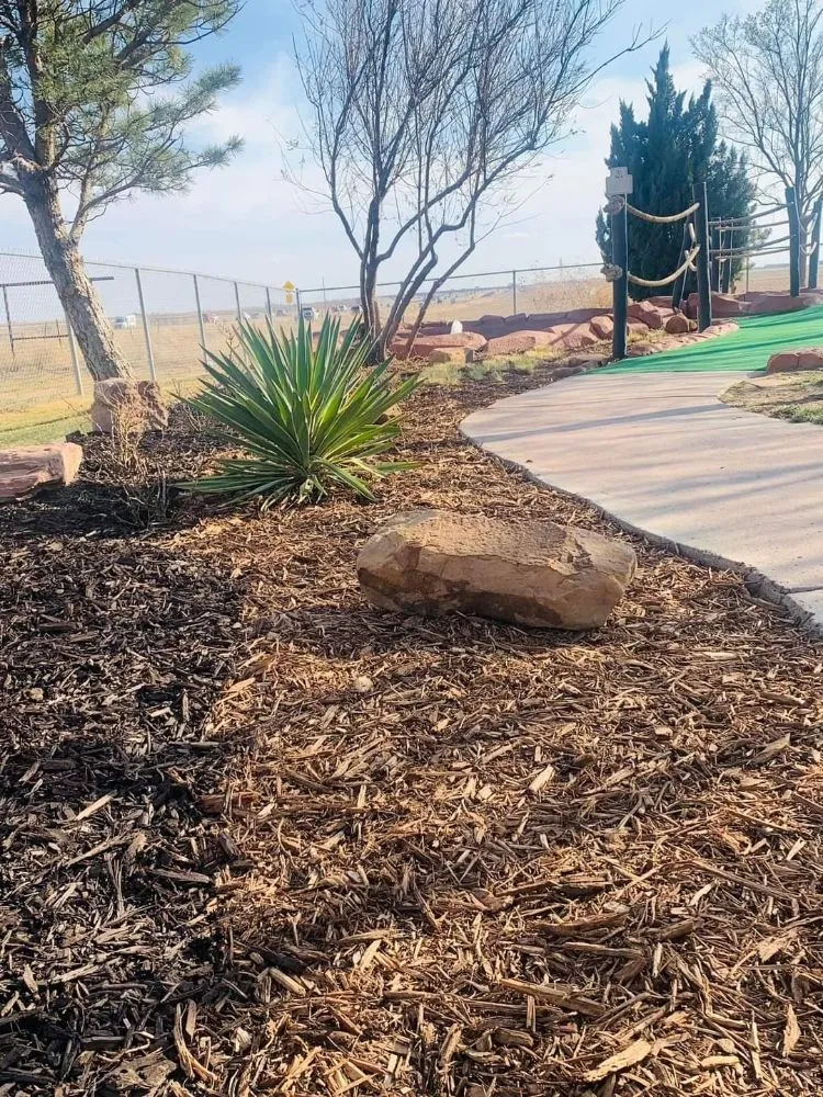 Affordable outdoor landscaping for beautiful yards across Amarillo, TX - Element Property Services