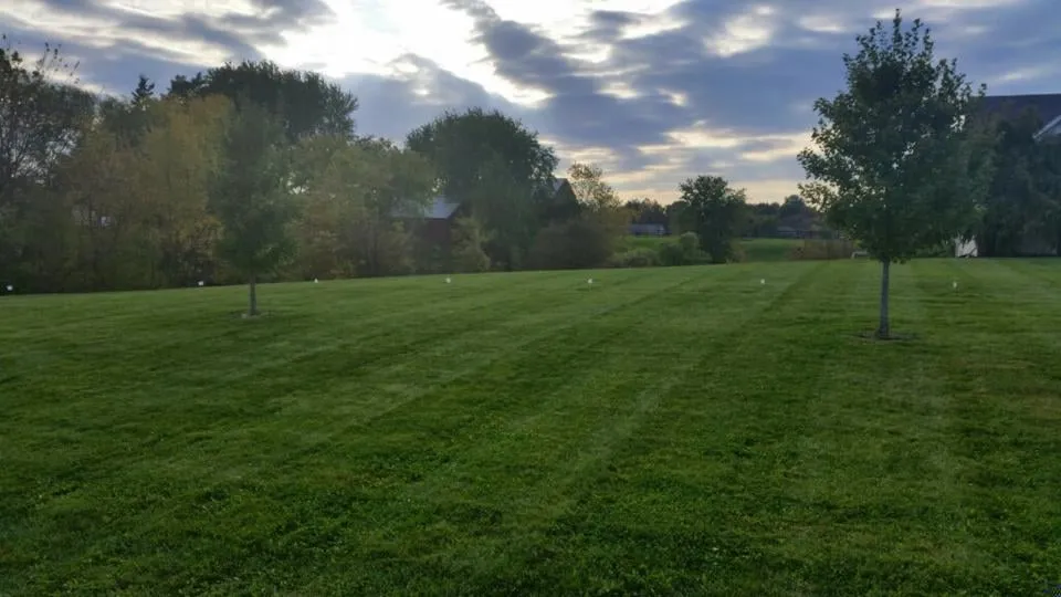 Affordable yard maintenance near you across Alton, IL - Element Turf & Outdoor Solutions