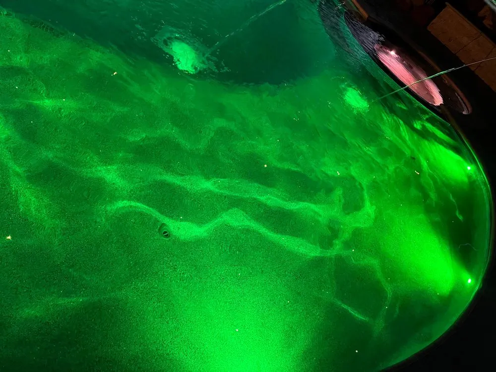 Top-rated lawn care service in Westlake Village, CA - Elemental Construction