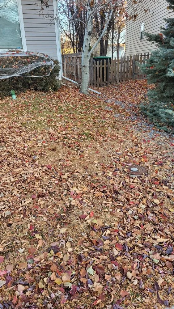 Trusted yard maintenance experts serving Longmont, CO - Elemental Harmony Services