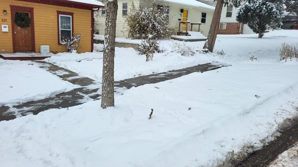 Affordable yard cleanup service experts serving Longmont, CO - Elemental Harmony Services