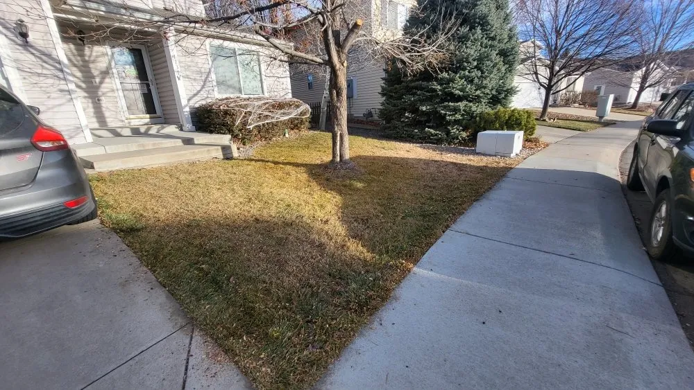 Trusted landscape design in Longmont, CO by Elemental Harmony Services