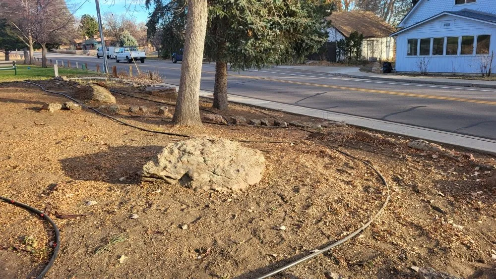 Top-rated lawn care service for year-round maintenance across Longmont, CO - Elemental Harmony Services