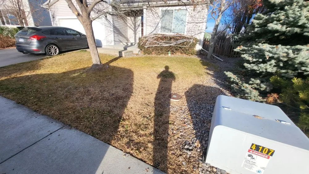 Expert yard cleanup service for beautiful yards across Longmont, CO - Elemental Harmony Services