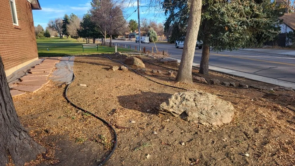 Reliable lawn care service for homes across Longmont, CO - Elemental Harmony Services