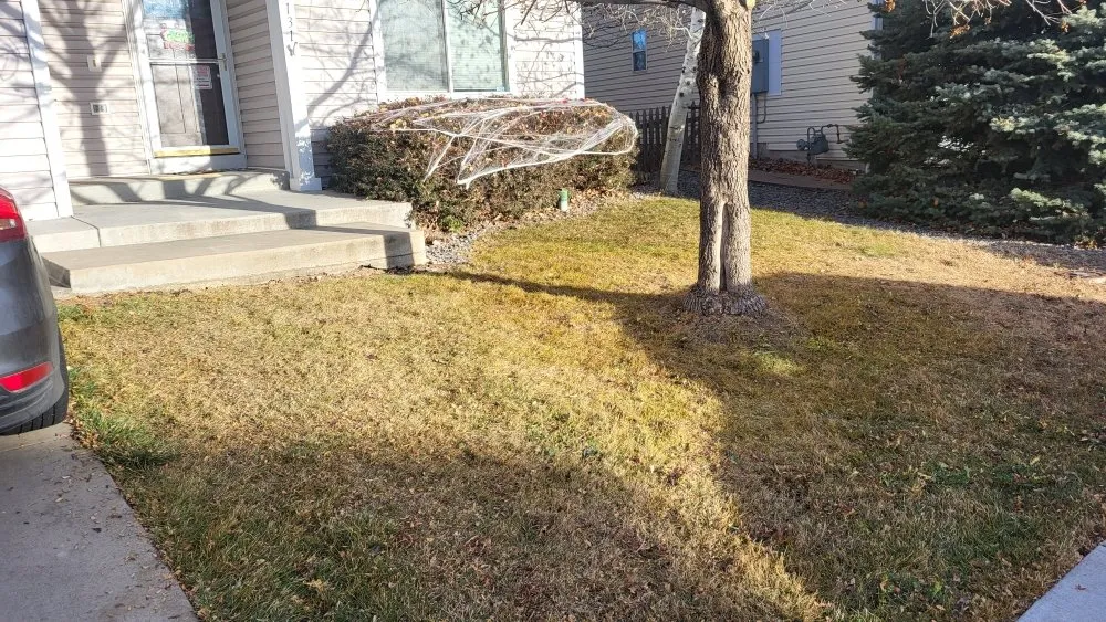 Reliable lawn mowing service in Longmont, CO - Elemental Harmony Services