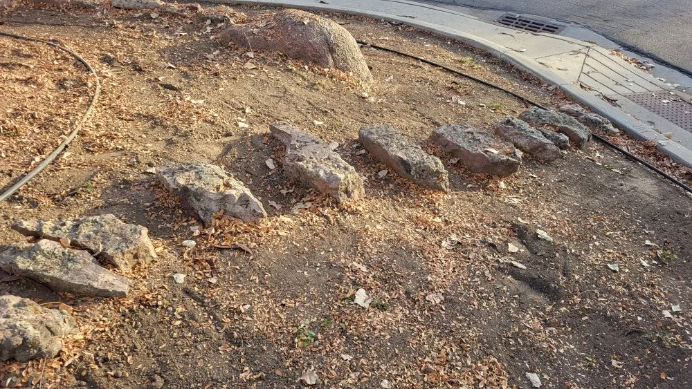 Expert residential landscaping in Longmont, CO - Elemental Harmony Services