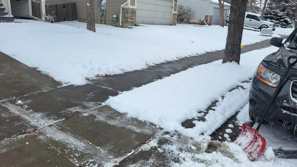 Affordable yard cleanup service in Longmont, CO by Elemental Harmony Services