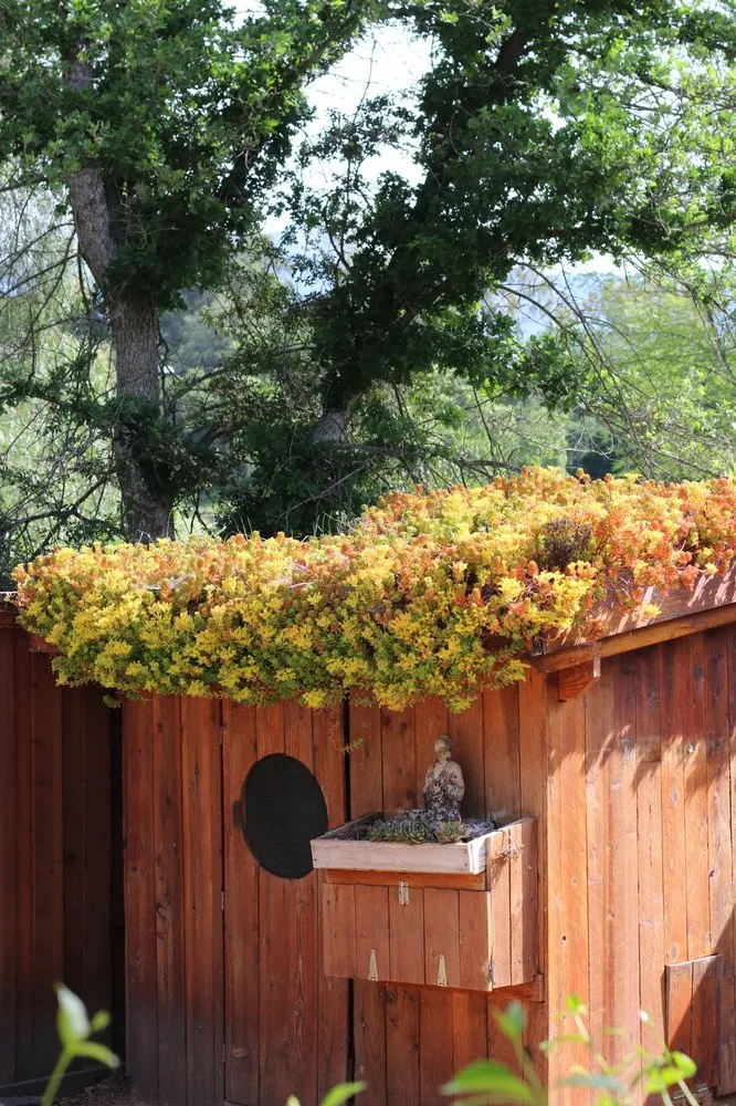 Local garden landscaping experts serving Ashland, OR - Elemental Landscapes