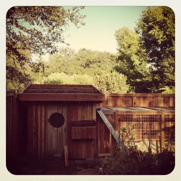 Trusted garden landscaping in Ashland, OR - Elemental Landscapes