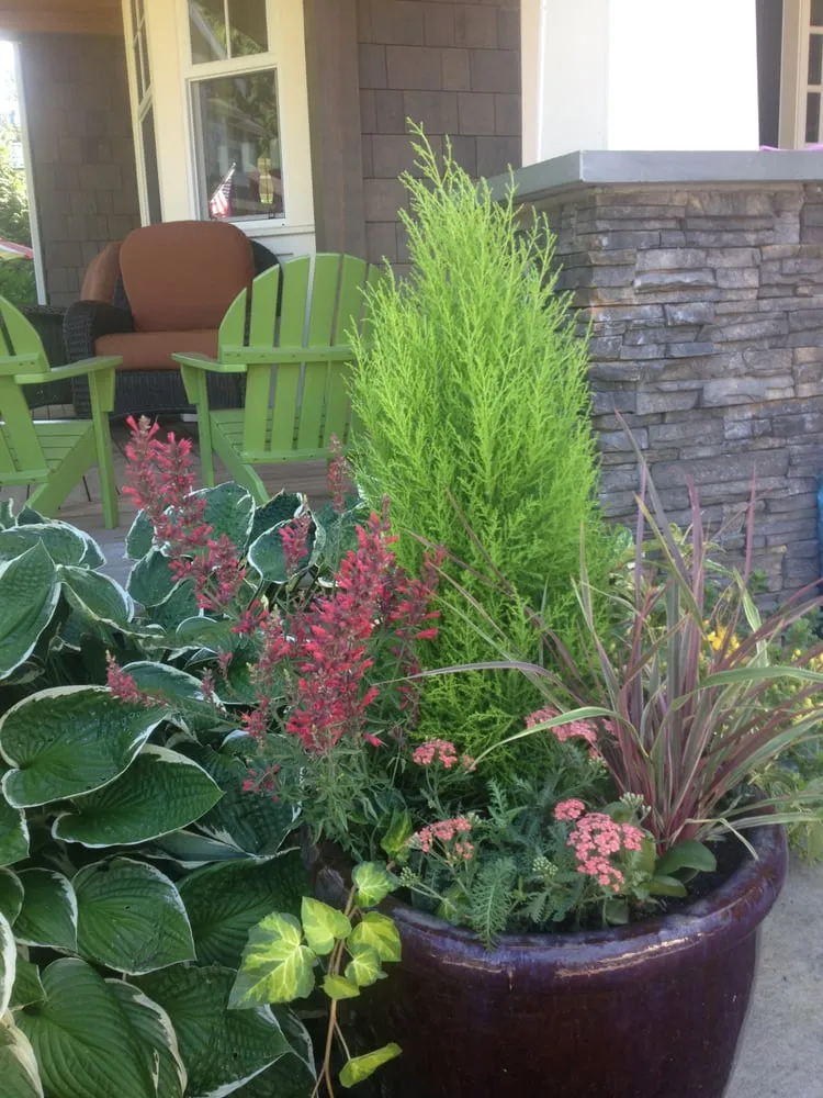 Custom yard cleanup service in Seattle, WA - Elemental Landscapes