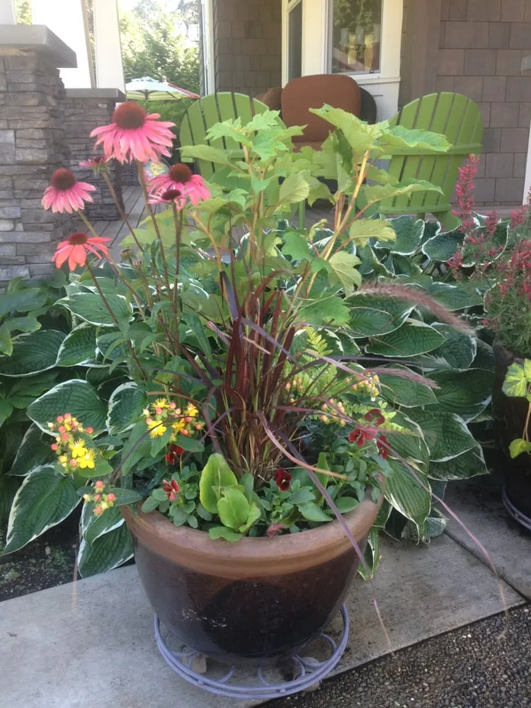 Reliable landscape design in Seattle, WA - Elemental Landscapes