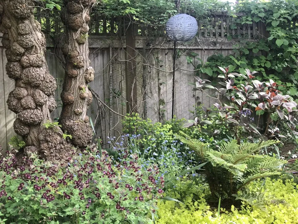 Affordable garden landscaping for residential properties across Seattle, WA - Elemental Landscapes