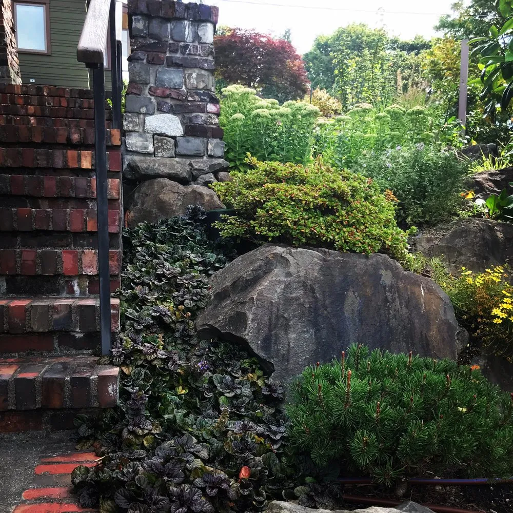 Expert landscape design in Seattle, WA by Elemental Landscapes