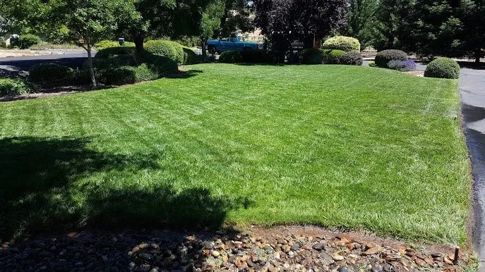 Reliable yard cleanup service in Sonora, CA by Elemental Landscaping