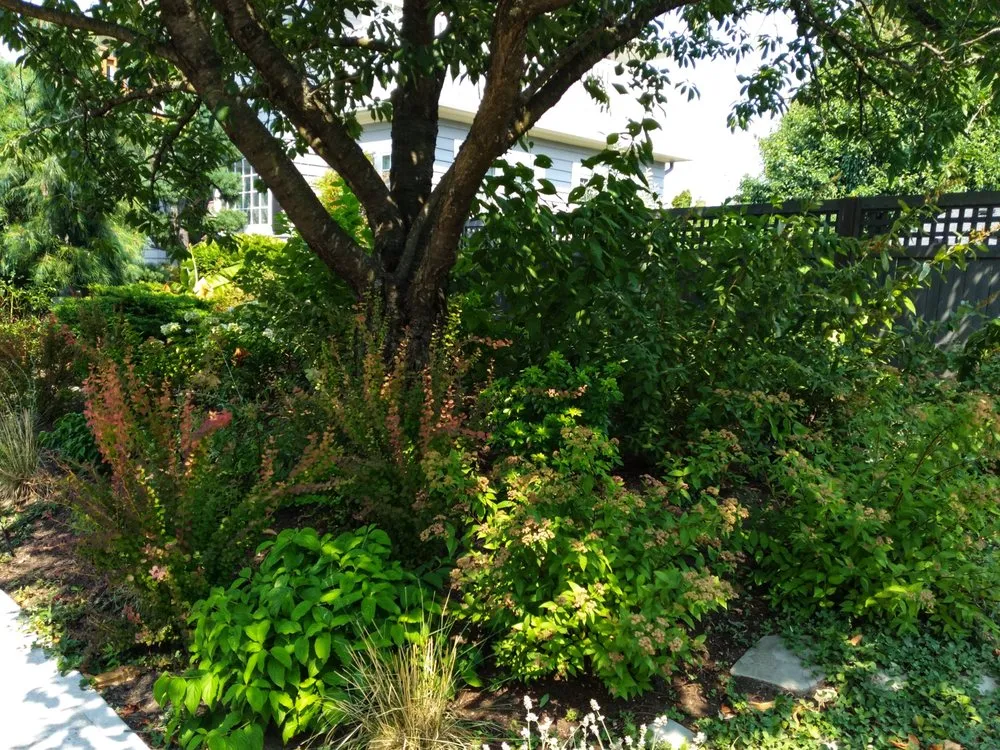 Custom landscape installation in Portland, OR by Elemental Romanticism Landscape Design