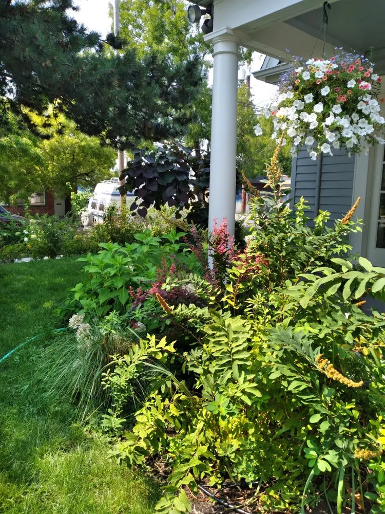 Top-rated yard maintenance for residential properties in Portland, OR by Elemental Romanticism Landscape Design