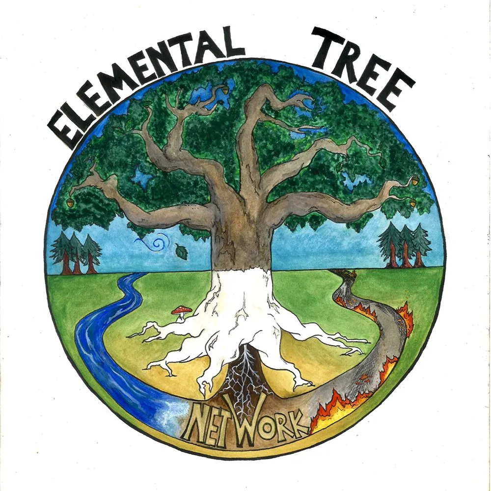 Trusted yard maintenance experts serving Santa Cruz, CA - Elemental Tree Network