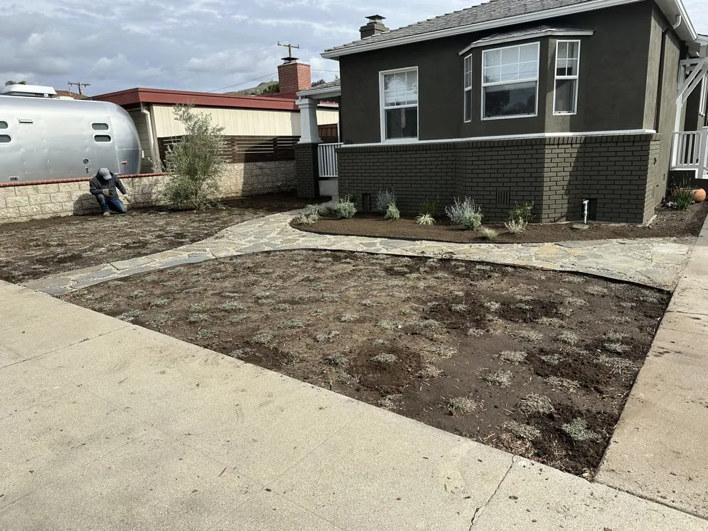 Reliable yard cleanup service with custom design across Ventura, CA - Elements and Solutions Landscape