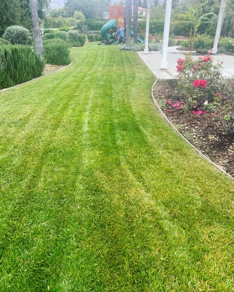 Local landscape installation experts serving Ventura, CA - Elements and Solutions Landscape