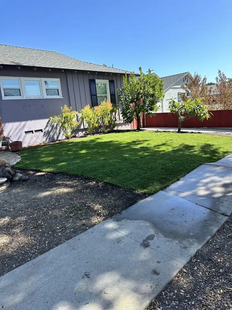 Reliable landscape design for year-round maintenance across Ventura, CA - Elements and Solutions Landscape